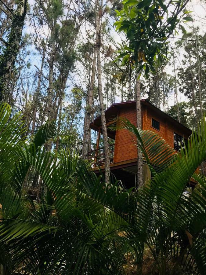 Hotel Casa De Arbol, Rancho Tierra Alta Jarabacoa Exterior foto