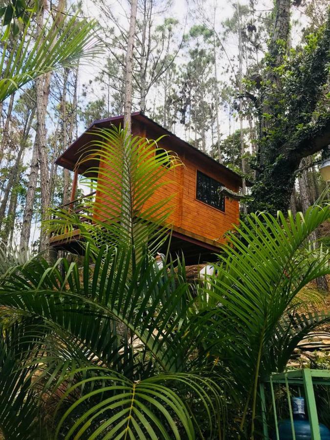 Hotel Casa De Arbol, Rancho Tierra Alta Jarabacoa Exterior foto